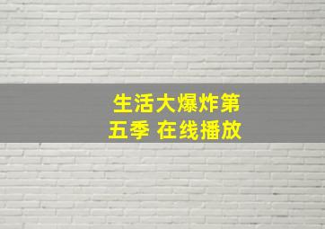 生活大爆炸第五季 在线播放